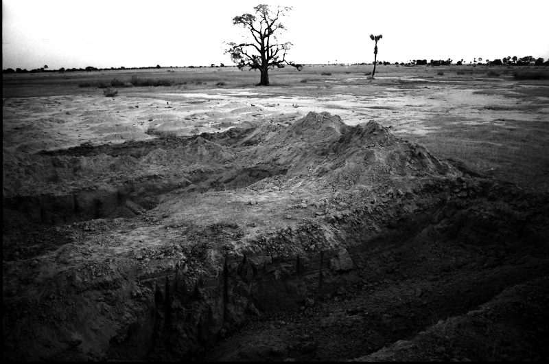 John Liebenberg: The grave site at Uupindi photographed a few weeks after the burial of Swapo guerrillas, with shallow graves in the background and an omwandi tree, from ‘The Crucifixion’, 1989